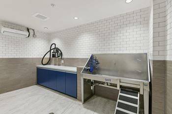 Pet wash center